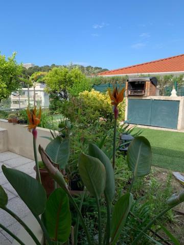 Jardin D'Azur Proche Mer Cagnes-sur-Mer Dış mekan fotoğraf
